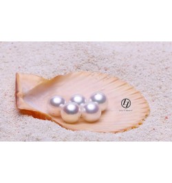 Japanese Akoya Cultured Pearl Stud Earrings 18K Solid Yellow White or Rose gold 5.5-6mm 7-7.5mm 7.5-8mm 8-8.5mm 8.5-9mm 9-9.5...