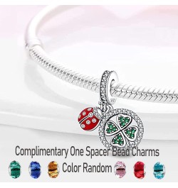 925 Sterling Silver Charms for Bracelets fit Woman Girl Bracelets and Necklaces (With one Spacer Beads) K-Seven Star Ladybug ...