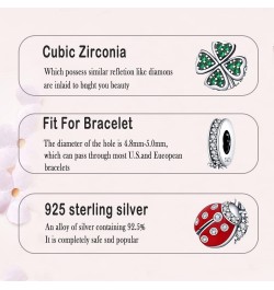 925 Sterling Silver Charms for Bracelets fit Woman Girl Bracelets and Necklaces (With one Spacer Beads) K-Seven Star Ladybug ...