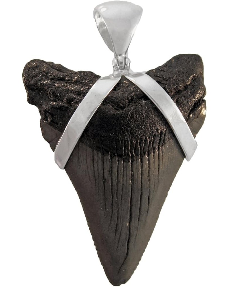 Fossil Shark Tooth Pendant in Sterling Silver Large $30.90 Pendants