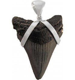 Fossil Shark Tooth Pendant in Sterling Silver Large $30.90 Pendants