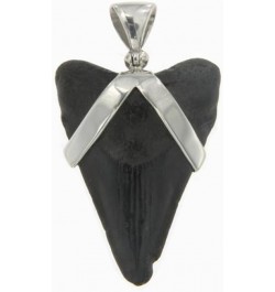 Fossil Shark Tooth Pendant in Sterling Silver Large $30.90 Pendants