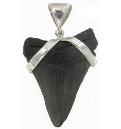 Fossil Shark Tooth Pendant in Sterling Silver Large $30.90 Pendants