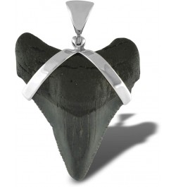 Fossil Shark Tooth Pendant in Sterling Silver Large $30.90 Pendants