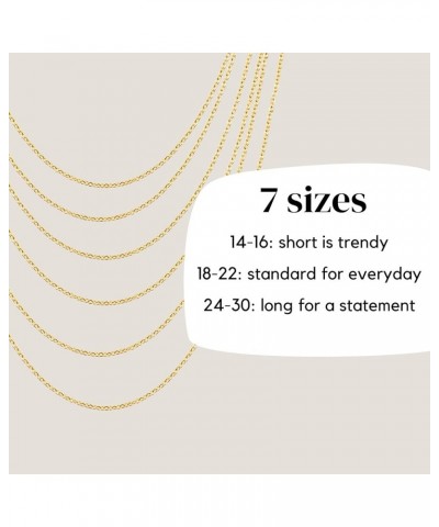 24k Gold Cable Link Chain Necklace – Thin, Dainty, Gold Plated Stainless Steel Jewelry for Women & Men with Spring Ring Clasp...