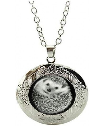 Hedgehog Locket Necklace, Handmade Jewelry, Gift for Women Handmade $7.82 Necklaces