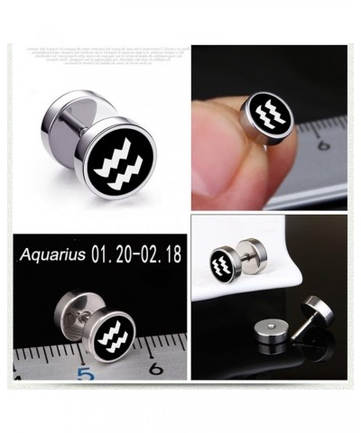 Earrings Studs Cute, Modern Earrings Zodiac Sign Stainless Steel Jewelry Sets for Women Aquarius $11.78 Earrings