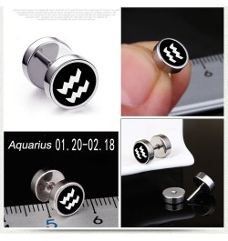 Earrings Studs Cute, Modern Earrings Zodiac Sign Stainless Steel Jewelry Sets for Women Aquarius $11.78 Earrings