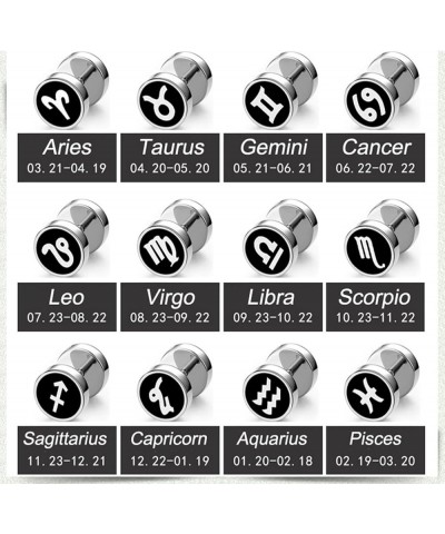 Earrings Studs Cute, Modern Earrings Zodiac Sign Stainless Steel Jewelry Sets for Women Aquarius $11.78 Earrings