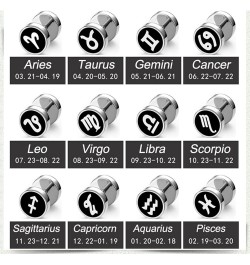 Earrings Studs Cute, Modern Earrings Zodiac Sign Stainless Steel Jewelry Sets for Women Aquarius $11.78 Earrings