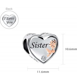 Rose Heart Love Charm for Mom Wife Daughter Grandma Auntie Compatible With Pandora Bracelets Sister $8.19 Bracelets