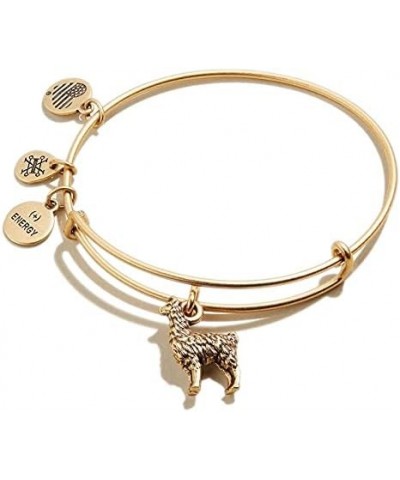 Animal Guide Expandable Bangle for Women Rafaelian Gold Finish $19.06 Bracelets