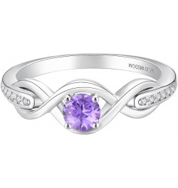 Infinity Knot Promise Rings for Her Sterling Silver Cubic Zirconia Wedding Engagement Rings February,amethyst Color $29.69 Rings