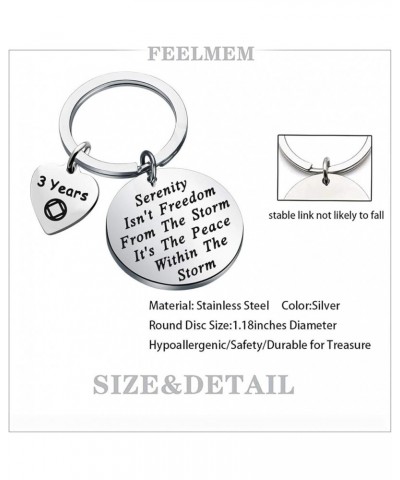 NA Recovery Gift 1 Year 18 Months 2 Years 3 Years NA Sobriety Anniversary Keychain NA Recovery Gift 3 Years $10.09 Pendants