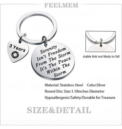 NA Recovery Gift 1 Year 18 Months 2 Years 3 Years NA Sobriety Anniversary Keychain NA Recovery Gift 3 Years $10.09 Pendants