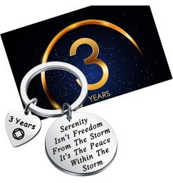 NA Recovery Gift 1 Year 18 Months 2 Years 3 Years NA Sobriety Anniversary Keychain NA Recovery Gift 3 Years $10.09 Pendants