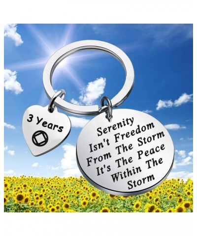 NA Recovery Gift 1 Year 18 Months 2 Years 3 Years NA Sobriety Anniversary Keychain NA Recovery Gift 3 Years $10.09 Pendants