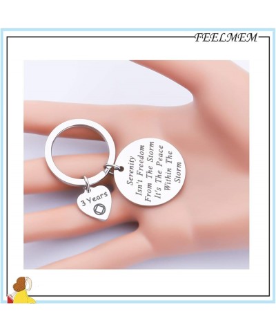 NA Recovery Gift 1 Year 18 Months 2 Years 3 Years NA Sobriety Anniversary Keychain NA Recovery Gift 3 Years $10.09 Pendants