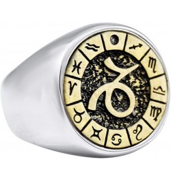 Unisex Stainless Steel Simple 12 Constellation Zodiac Signet Ring Horoscope Astrology Silver Gold Capricorn $8.79 Others