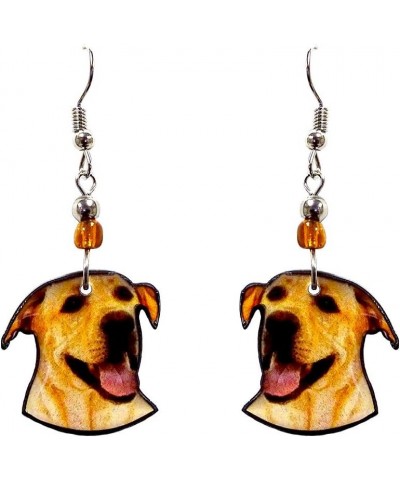 Dog Face Animal Graphic Dangle Earrings - Womens Fashion Handmade Jewelry Pet Lover Accessorie Labrador/Golden $11.19 Earrings