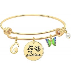 Inspiration A-Z Letters Initial Bracelets Valentines Bracelets Gifts for Her - You Are My Sunshine Butterfly Bracelet for Wom...