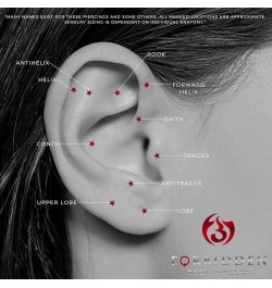 Forbidden Body 16G Jewelry Surgical Steel Internally Threaded Micro CZ Gem Tragus/Labret/Helix Piercing Stud/2mm Top (6mm-10m...