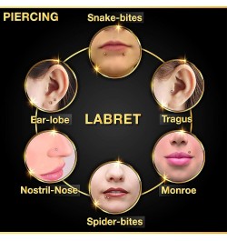 4PCS Surgical Steel Lip Ring Studs 14 gauge 3mm Ball Spike Spider Bite Earrings Vertical Labret Piercing Jewelry Choose Sizes...