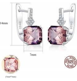 S925 Sterling Silver Dainty Octagon Shaped 7mmx7mm 1.75Ct Morganite Earrings Fashion Jewelry for Women (Red Brown Earrings) $...