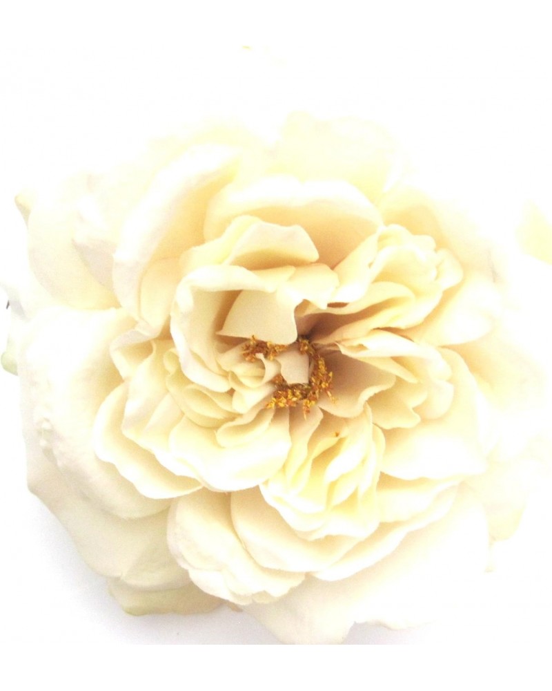 Full 5.5" Cream White Rose Silk Flower Brooch Pin $13.89 Brooches & Pins