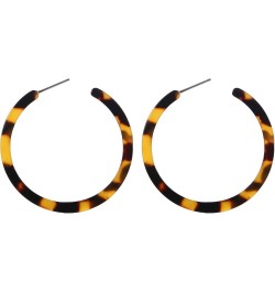 Tortoise Shell Resin Hoop Earrings Fashion Jewelry Tortoise $7.64 Earrings