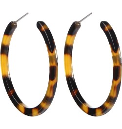 Tortoise Shell Resin Hoop Earrings Fashion Jewelry Tortoise $7.64 Earrings