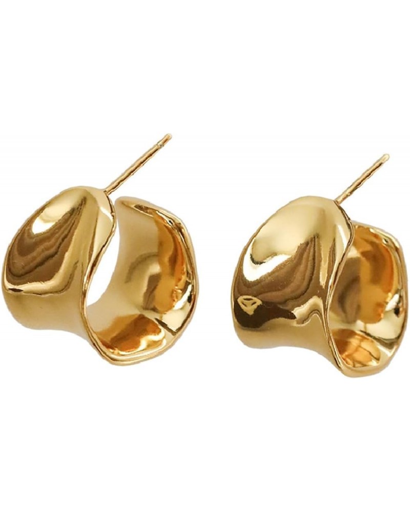 925 Silver Needle Irregular Premium Women's Alloy Circle Style Girls' Earrings Q151 Gold $9.68 Earrings