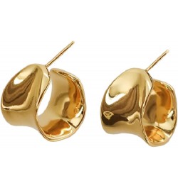 925 Silver Needle Irregular Premium Women's Alloy Circle Style Girls' Earrings Q151 Gold $9.68 Earrings