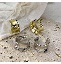 925 Silver Needle Irregular Premium Women's Alloy Circle Style Girls' Earrings Q151 Gold $9.68 Earrings