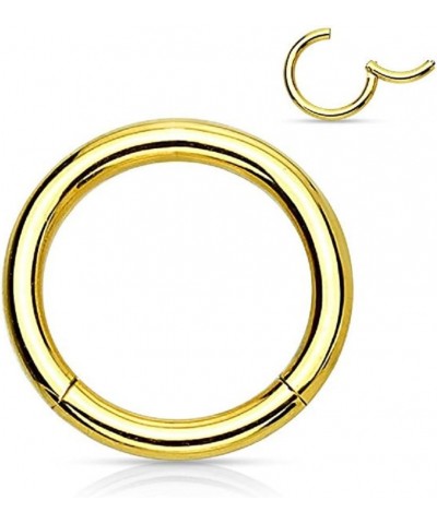 Pair of 316L Surgical Steel Hinged Segment WildKlass Rings 18g 8mm Gold $6.06 Body Jewelry