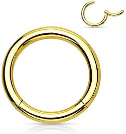 Pair of 316L Surgical Steel Hinged Segment WildKlass Rings 18g 8mm Gold $6.06 Body Jewelry