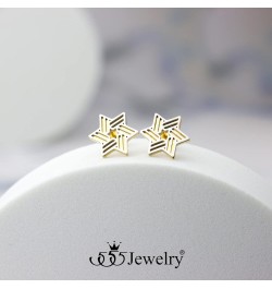 ‎Stainless Steel Ribbed Star of David Stud Earrings for Women & Girls ‎ Silver/Gold $9.02 Earrings