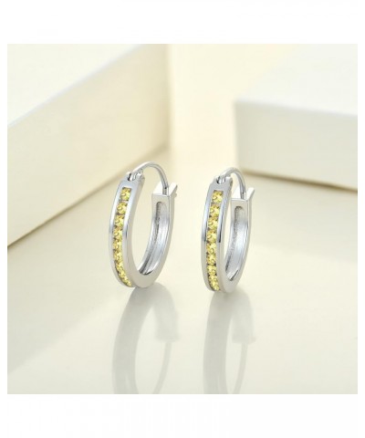 925 Sterling Slver Hoop Earrings Round Halo Huggie Earring Cubic Zirconia Jewelry for Women 11-topaz-Nov $26.65 Earrings