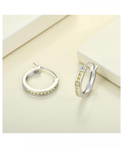 925 Sterling Slver Hoop Earrings Round Halo Huggie Earring Cubic Zirconia Jewelry for Women 11-topaz-Nov $26.65 Earrings