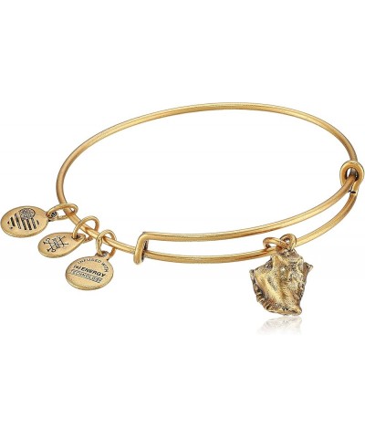 Conch Shell II EWB, Bangle Bracelet Rafaelian Gold $15.84 Bracelets