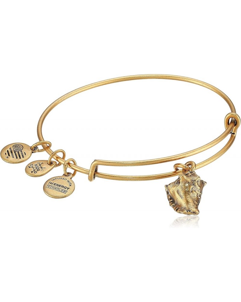 Conch Shell II EWB, Bangle Bracelet Rafaelian Gold $15.84 Bracelets